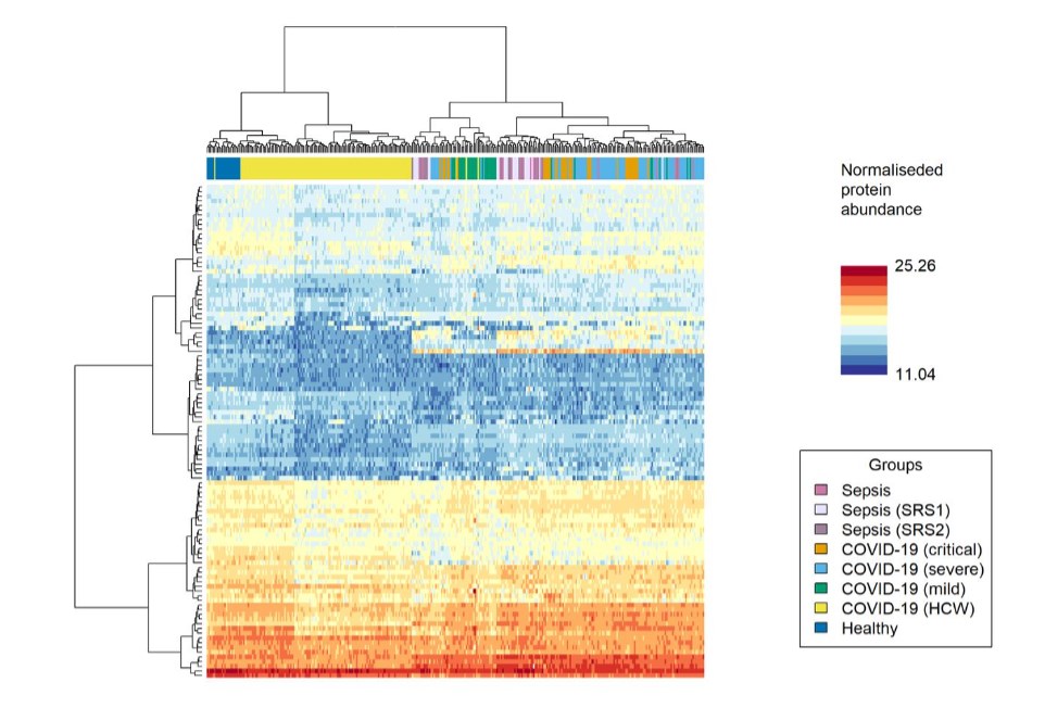 covid-19 proteomics hierarchical clustering